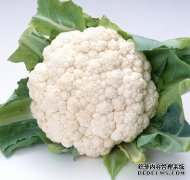 上汤白花菜的做法