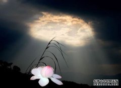一念通三世开悟方能知