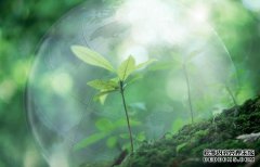保持生态平衡 遵守自然规律