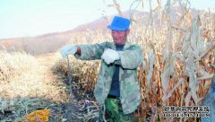 大群蛇被放生 养蛙人直犯愁