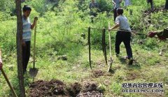 放生不当变杀生 数千条蛇引恐慌