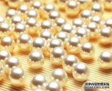 珍珠母贝一生痛苦的代价