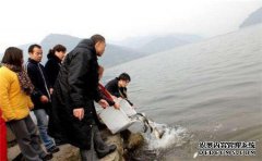 放生回向什么意思